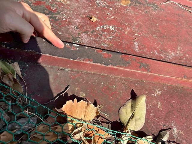 龍ケ崎市木造店舗の屋根調査　トタン屋根のサビ・塗装剥がれ・落ち葉による排水不良を確認しました